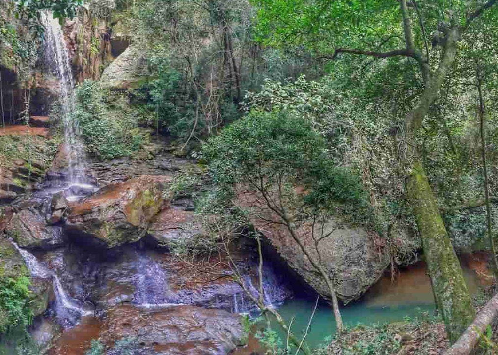 Bella naturaleza desde paraguay