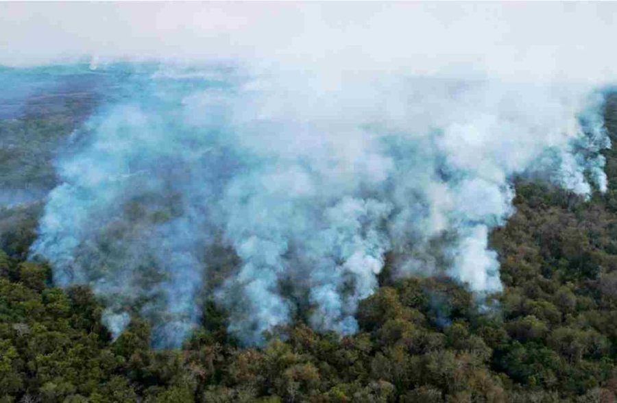 Incendios en pantanal tras sequía