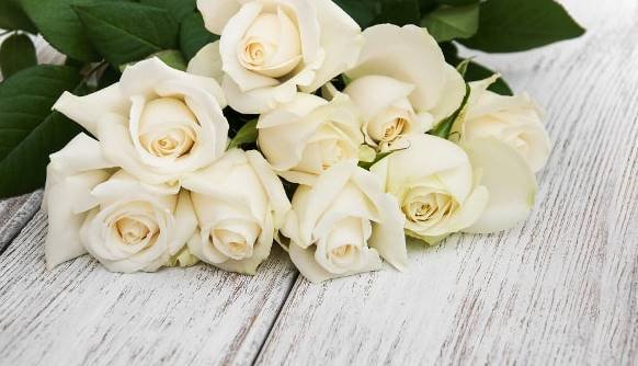 Significado de las rosas blancas