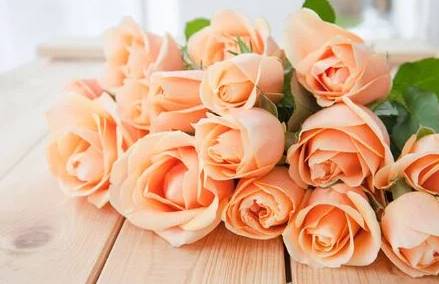 Significado de las rosas de durazno